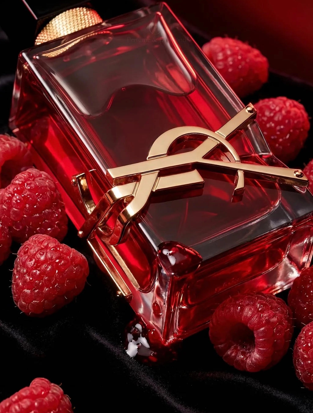Ysl Libre Berry Crush (Sample)