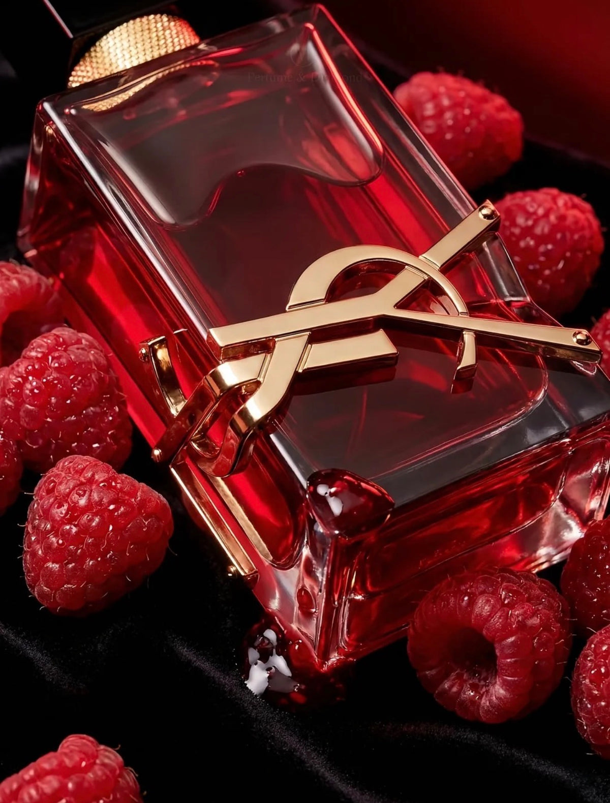 Ysl Libre Berry Crush (Sample)