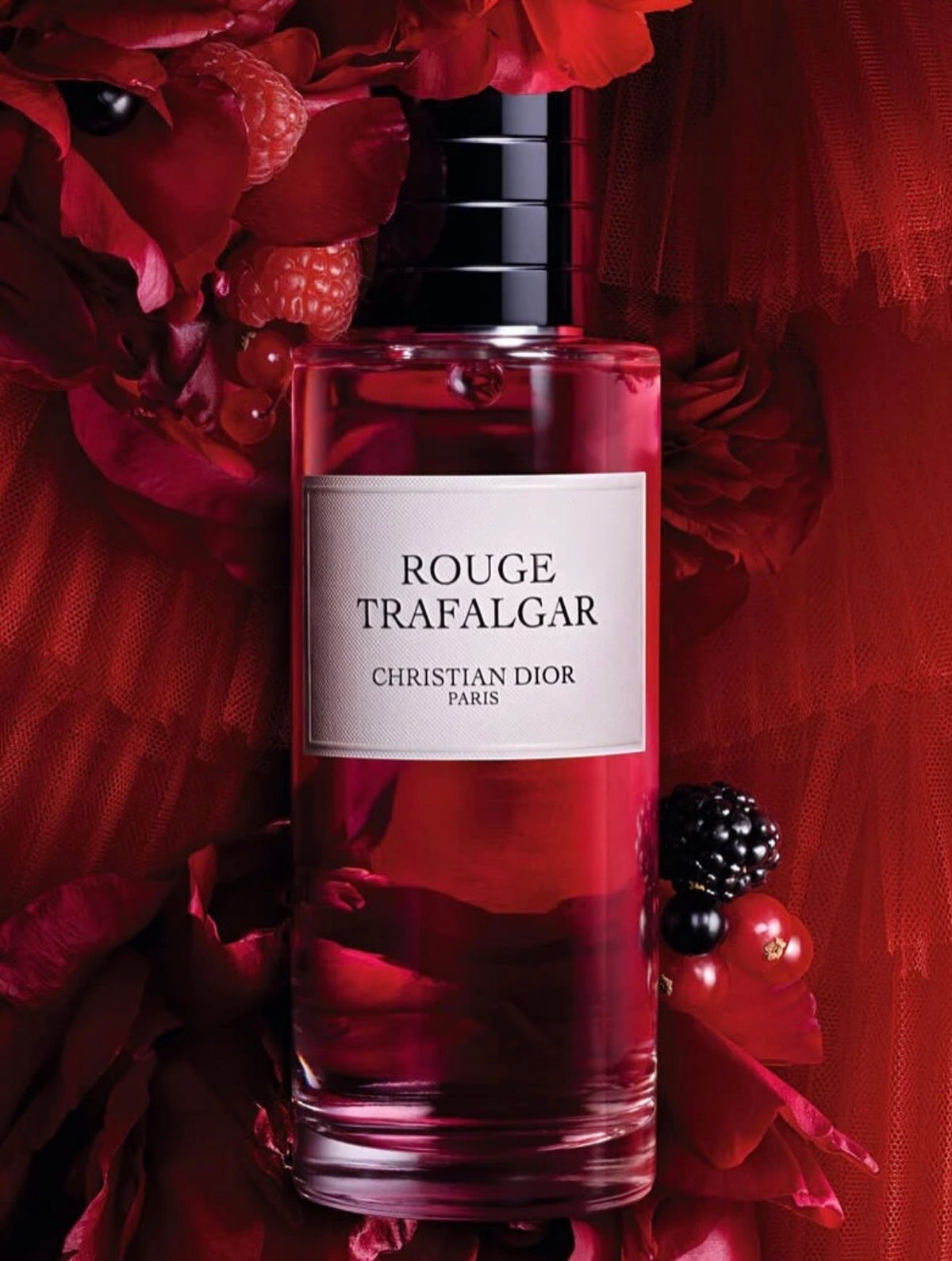 DIOR ROUGE TRAFALGAR Decant Sample